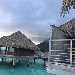 Meet your Posher, Sandy